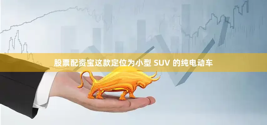 股票配资宝这款定位为小型 SUV 的纯电动车