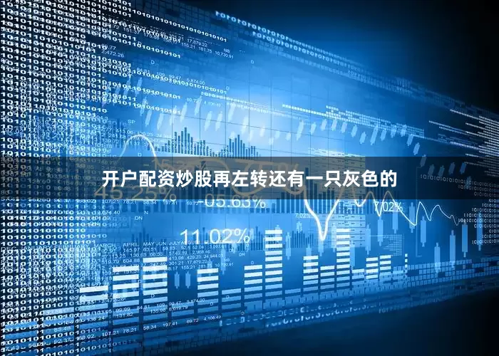 开户配资炒股再左转还有一只灰色的