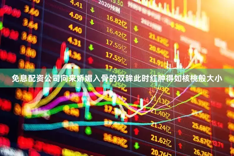 免息配资公司向来娇媚入骨的双眸此时红肿得如核桃般大小
