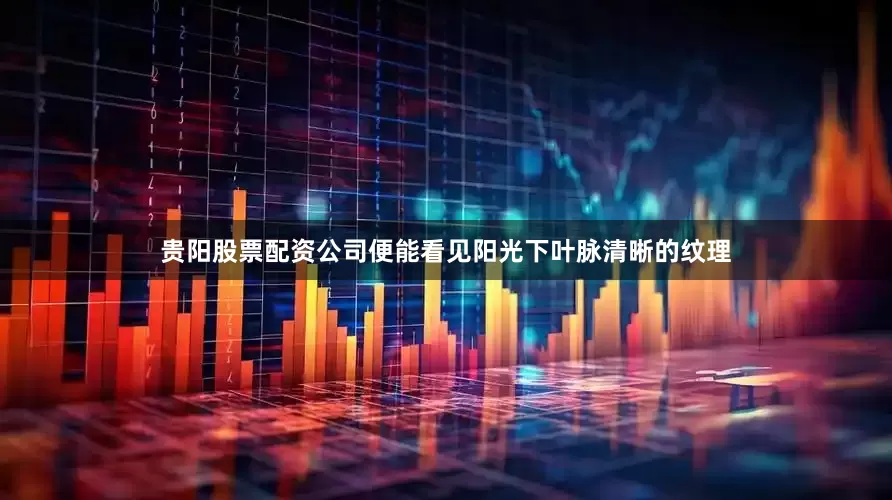 贵阳股票配资公司便能看见阳光下叶脉清晰的纹理