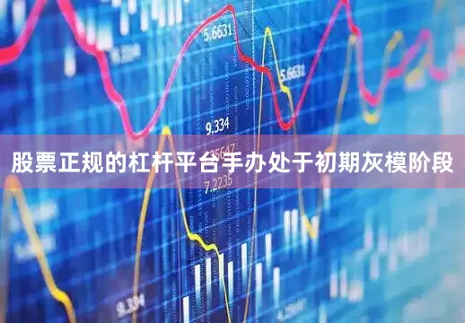 股票正规的杠杆平台手办处于初期灰模阶段
