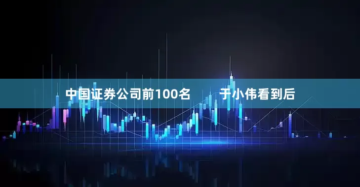 中国证券公司前100名        于小伟看到后